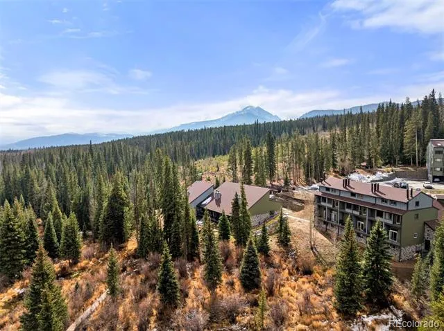 10500 Ryan Gulch Road #J-106 Silverthorne, CO 80498