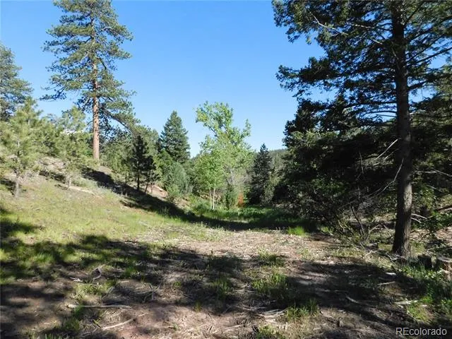 5884 Seminole Trail Larkspur, CO 80118