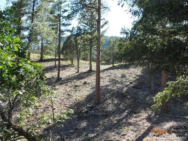 5884 Seminole Trail Larkspur, CO 80118