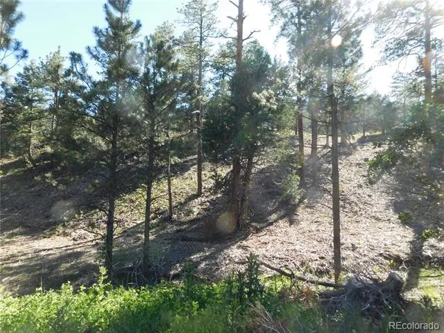 5884 Seminole Trail Larkspur, CO 80118