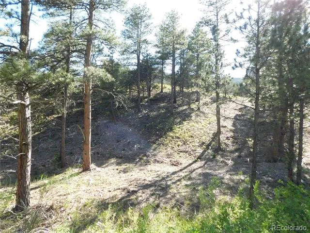 5884 Seminole Trail Larkspur, CO 80118