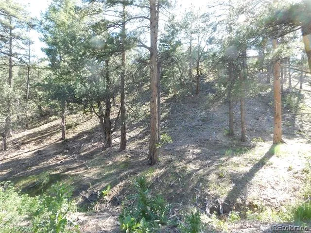 5884 Seminole Trail Larkspur, CO 80118