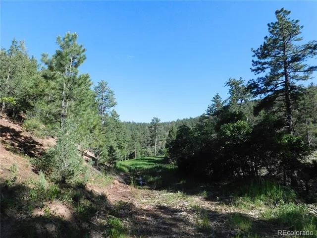 5884 Seminole Trail Larkspur, CO 80118