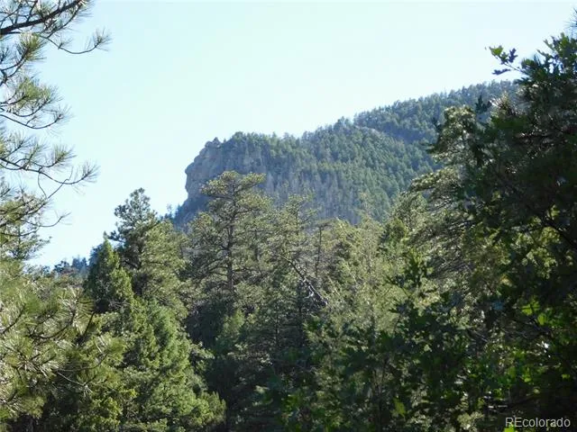 5884 Seminole Trail Larkspur, CO 80118