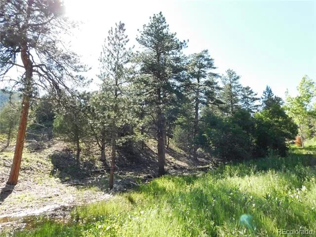 5884 Seminole Trail Larkspur, CO 80118
