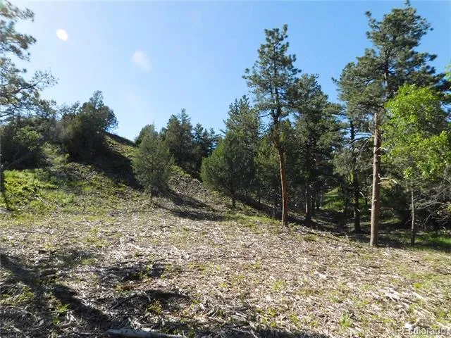 5884 Seminole Trail Larkspur, CO 80118