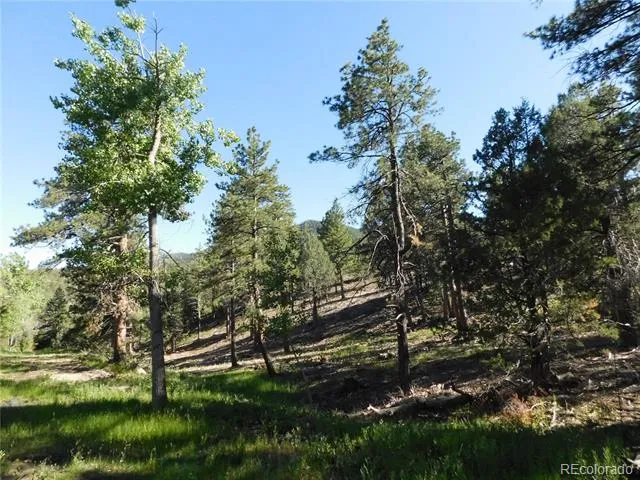 5884 Seminole Trail Larkspur, CO 80118