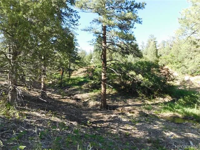5884 Seminole Trail Larkspur, CO 80118