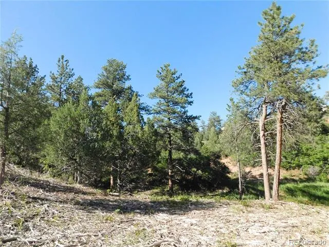 5884 Seminole Trail Larkspur, CO 80118