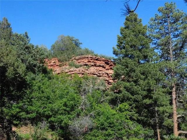 5884 Seminole Trail Larkspur, CO 80118