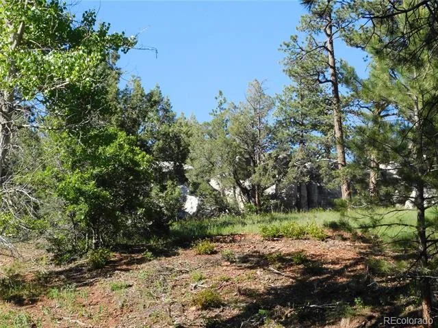 5884 Seminole Trail Larkspur, CO 80118