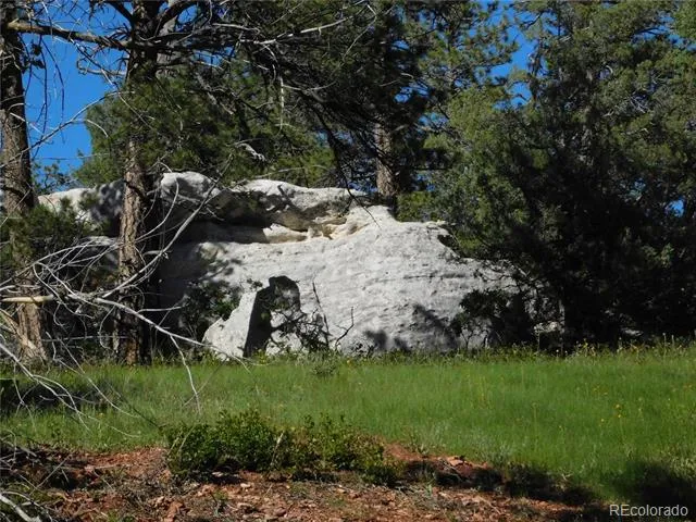 5884 Seminole Trail Larkspur, CO 80118