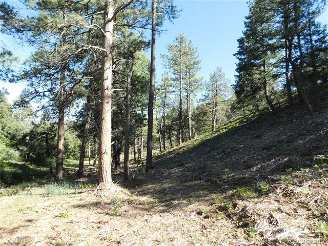 5884 Seminole Trail Larkspur, CO 80118