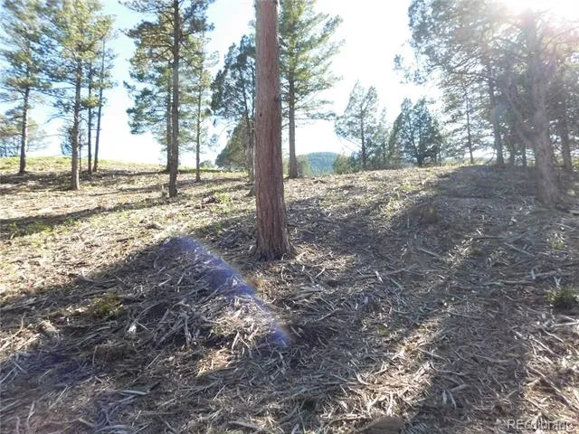 5884 Seminole Trail Larkspur, CO 80118