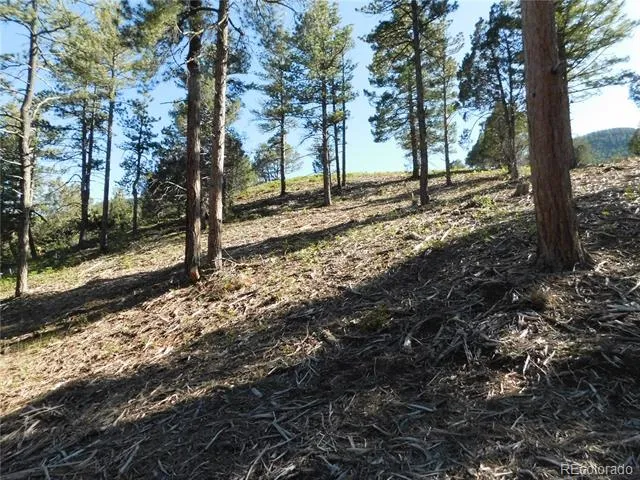 5884 Seminole Trail Larkspur, CO 80118