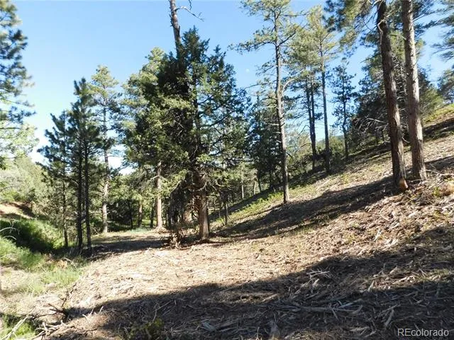 5884 Seminole Trail Larkspur, CO 80118