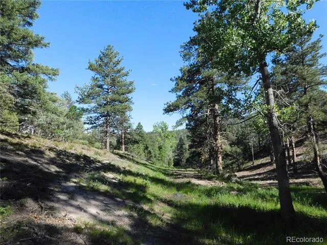 5884 Seminole Trail Larkspur, CO 80118