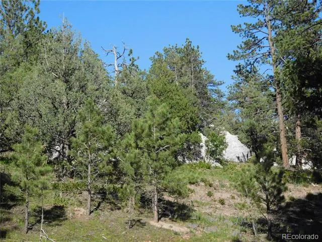 5884 Seminole Trail Larkspur, CO 80118