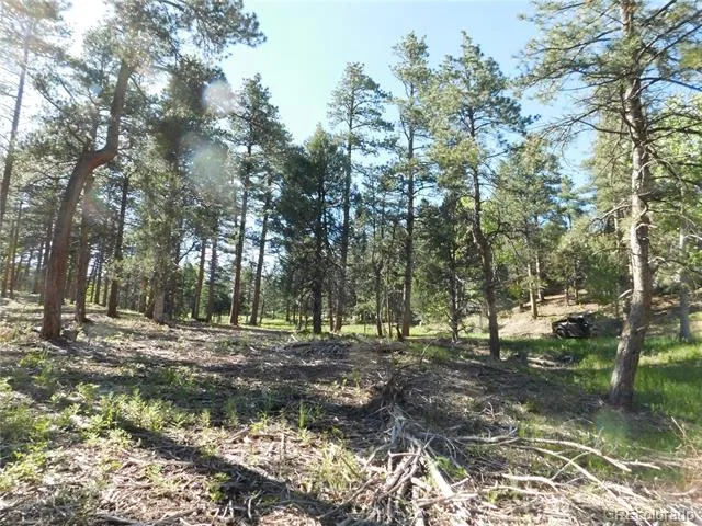 5884 Seminole Trail Larkspur, CO 80118
