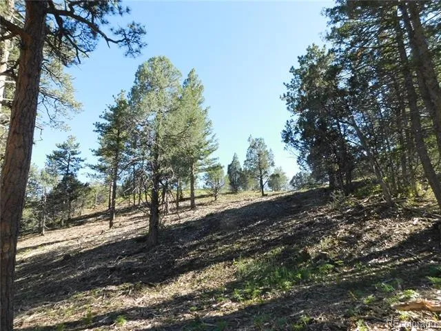 5884 Seminole Trail Larkspur, CO 80118