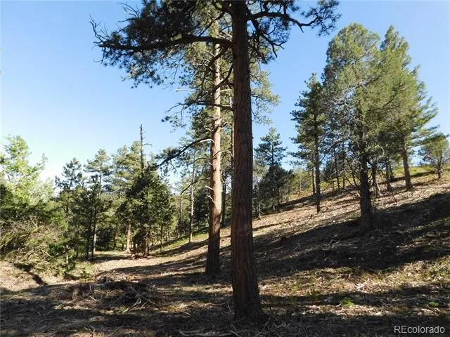5884 Seminole Trail Larkspur, CO 80118