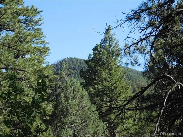 5884 Seminole Trail Larkspur, CO 80118