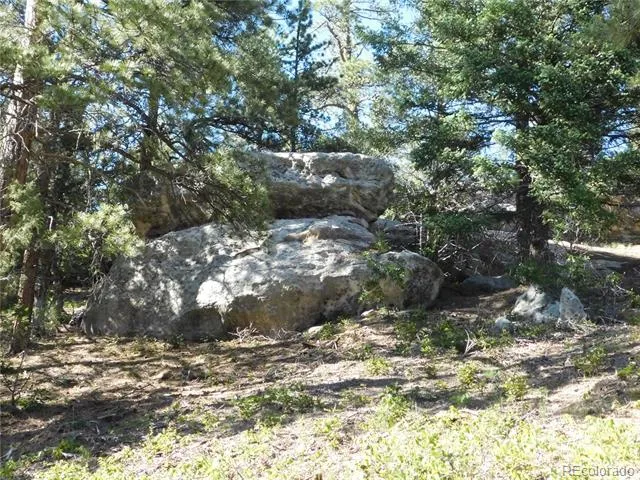 5884 Seminole Trail Larkspur, CO 80118