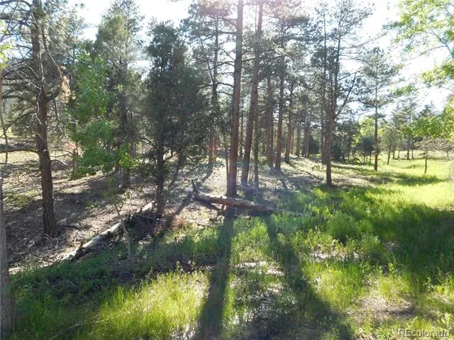 5884 Seminole Trail Larkspur, CO 80118