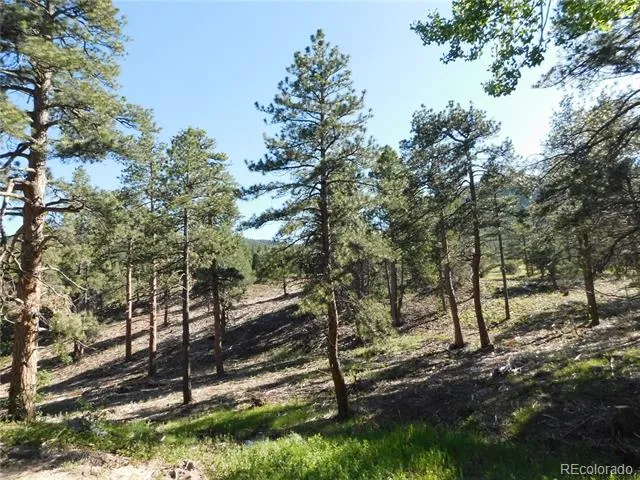 5884 Seminole Trail Larkspur, CO 80118