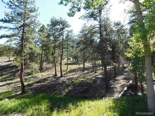 5884 Seminole Trail Larkspur, CO 80118
