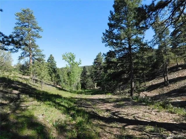 5884 Seminole Trail Larkspur, CO 80118
