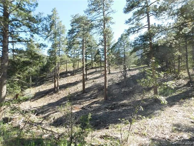 5884 Seminole Trail Larkspur, CO 80118