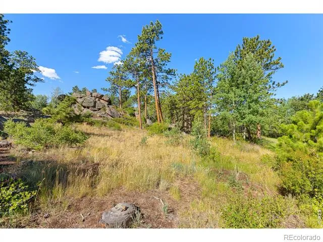 1532 Fox Acres Drive W Red Feather Lakes, CO 80545
