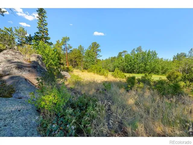 1532 Fox Acres Drive W Red Feather Lakes, CO 80545