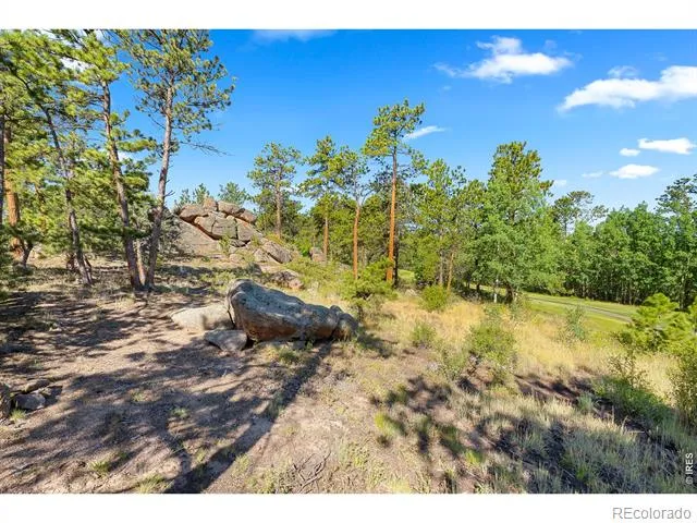 1532 Fox Acres Drive W Red Feather Lakes, CO 80545