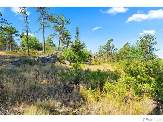 1532 Fox Acres Drive W Red Feather Lakes, CO 80545