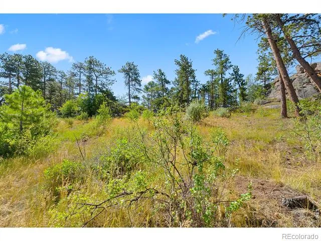 1532 Fox Acres Drive W Red Feather Lakes, CO 80545