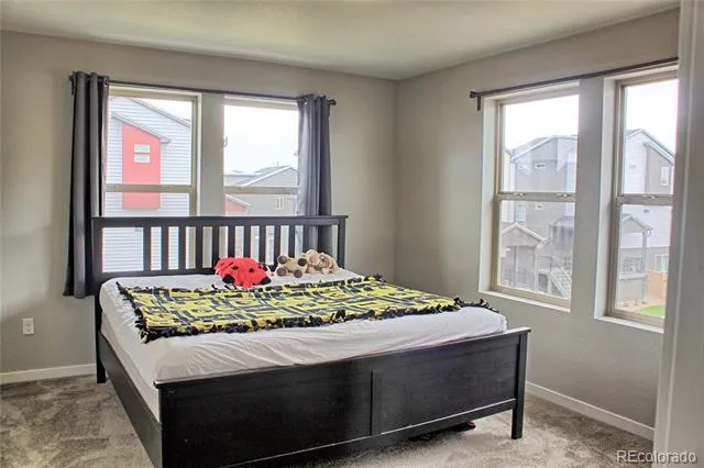 4144 Elegant Street Castle Rock, CO 80109