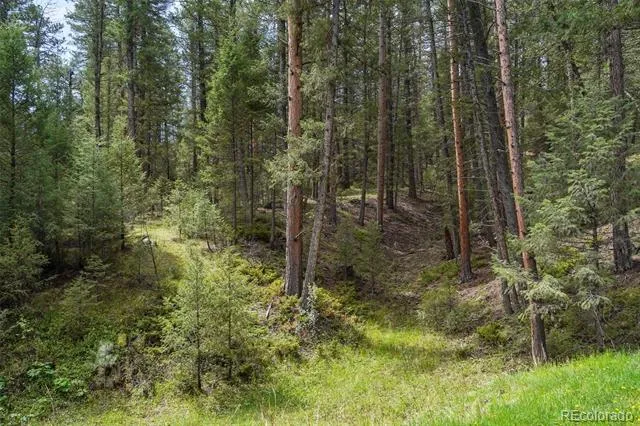1424 High Drive Sedalia, CO 80135