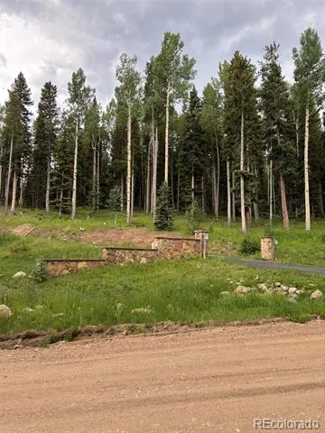 28651 Belle Point Drive Conifer, CO 80433