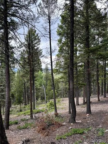 28651 Belle Point Drive Conifer, CO 80433