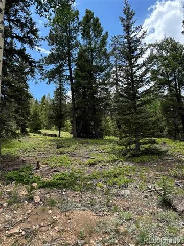 28651 Belle Point Drive Conifer, CO 80433