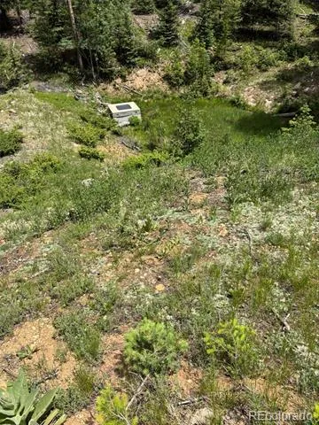 28651 Belle Point Drive Conifer, CO 80433