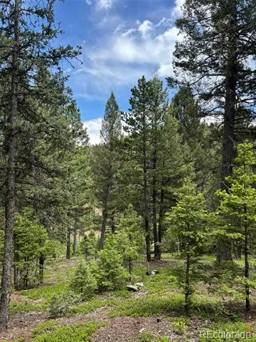 28651 Belle Point Drive Conifer, CO 80433
