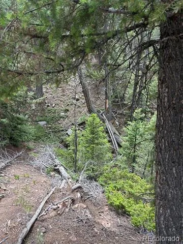 28651 Belle Point Drive Conifer, CO 80433