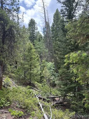 28651 Belle Point Drive Conifer, CO 80433