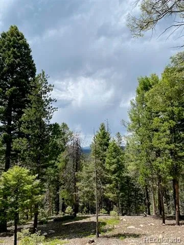 28651 Belle Point Drive Conifer, CO 80433