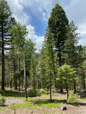 28651 Belle Point Drive Conifer, CO 80433