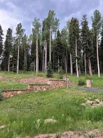 28651 Belle Point Drive Conifer, CO 80433
