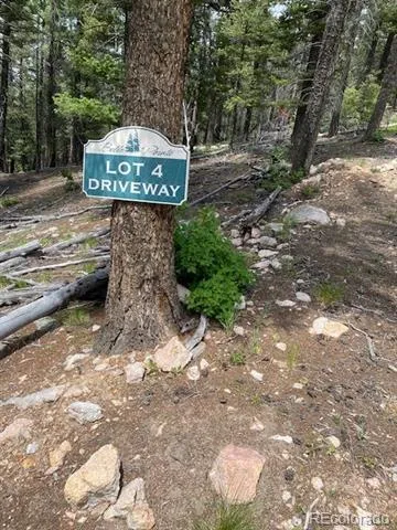 28651 Belle Point Drive Conifer, CO 80433